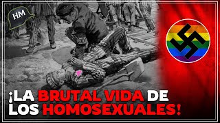 Así era SUFRIR en el N4zismo si eras H0MOSEXUAL  La vida del infierno [upl. by Helbonnah129]