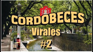 Cordobeces Virales 2 [upl. by Dnesnwot]