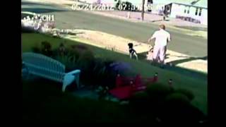 Dog attack caught on tape [upl. by Lrak]