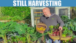 GARDEN HARVESTING [upl. by Mia]