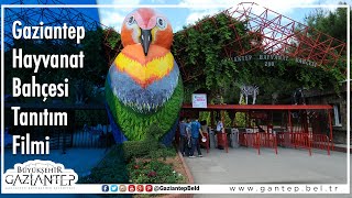 Gaziantep Hayvanat Bahçesi Tanıtım Filmi [upl. by Mayyahk]