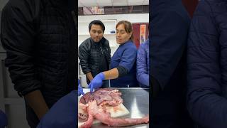 Prospectos de UPAEP conocen los laboratorios de medicina 😱🦅 UPAEP [upl. by Rubi]