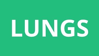 How To Pronounce Lungs  Pronunciation Academy [upl. by Pampuch]