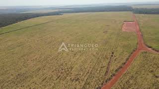 Fazenda à venda em Ituiutaba com 30 alqueires mineiros  Triangulo Mineiro  Minas Gerais [upl. by Grannia]