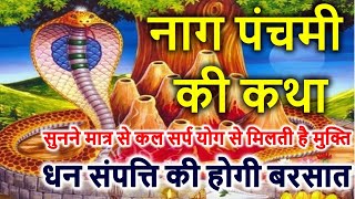 Naag Panchami Ki Kahani  नाग पंचमी की कहानी  Naag Panchami Katha [upl. by Hadden]