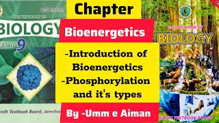 Bioenergetics Introduction Phosphorylation  Types of Phosphorylation  Class 9 amp 11  Umm e Aiman [upl. by Anahsohs]