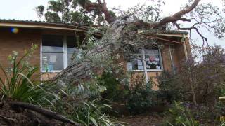 Mount Warrigal Storm Damage [upl. by Ahsennod]