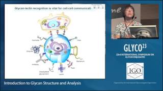 Introduction to Glycan Structure and Analysis Professor Anne Dell [upl. by Ecyarg]