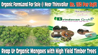 Low Budget Farm Land For Sale Near Chennai  Thiruvallur Farm Land  Farm Land For Sale Chennai [upl. by Dorison222]