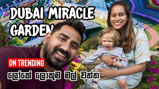 DUBAI MIRACLE GARDEN amp BUTTERFLY GARDEN  DUBAI VLOG 292 ENG SUB [upl. by Nywles]