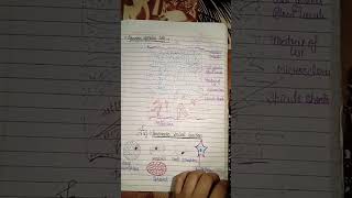 shorts Chapter4Herdmania A Sea squirtBsc head written notes zoology Part2 [upl. by Aznaed]