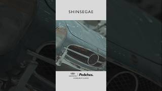 INSIDE SHINSEGAE  300 [upl. by Ydwor]