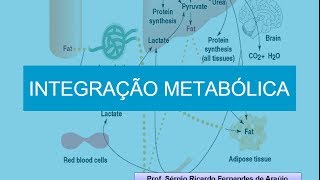 Curso de Bioquimica Integração Metabólica [upl. by Lori]