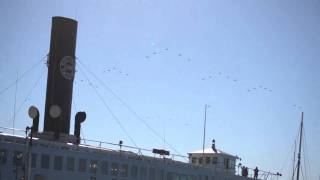 Massive Flyover  35 jets over san diego [upl. by Nash]