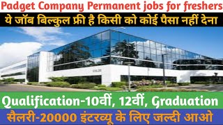 Padget Company Permanent jobsBest company job vacancies for freshersSalary20000 [upl. by Ekrub106]