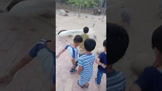 Multi zoo multi garden B17 islamabad [upl. by Odracir]