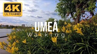 Umeå Walking A Relaxation walking in Umeå Sweden 4K [upl. by Cordell]