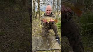 Milo’s the Director now fishing shortsfeed carp fishingshorts fishinglife fishingvideo [upl. by Bello166]