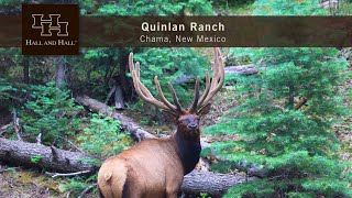 New Mexico Ranch For Sale  Quinlan Ranch [upl. by Ragouzis]