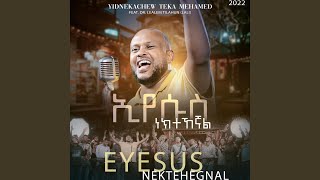 Eyesus Nektehegnal feat Dr Lealem Tilahun Lali [upl. by Rramo]