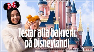 TESTAR ALLA BAKVERK PÅ DISNEYLAND PARIS [upl. by Aziar764]