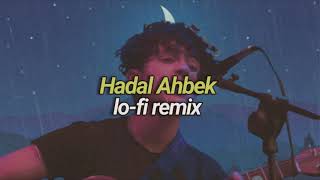 Issam Alnajjar  Hadal Ahbek Lofi Remix [upl. by Dukie87]