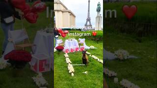 Luppa a assisté a une demande en mariage au Trocadero malinois belgianmalinois youtubeshorts [upl. by Lerak]