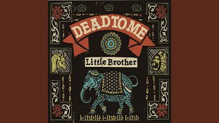 Little Brother [upl. by Arze]