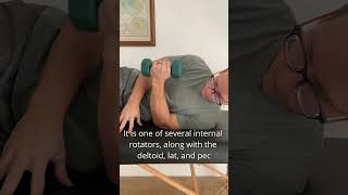 Subscapularis rotator cuff strengthening to improve and preserve shoulder health [upl. by Nagel419]