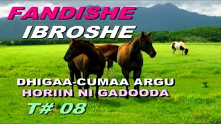 FANDISHE M Track 08 DHIIGAACUMAA ARGU BEST OROMO Music [upl. by Olympie]