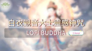 白衣觀音大士靈感神咒 lofi lofibuddha lofichillattractionlawmantra [upl. by Hgielrac]