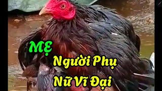 Mẹ  Người Phụ Nữ Vĩ Đại những câu nói hay về mẹreviewsachthusana [upl. by Anircam]