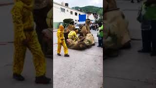 Tlacololeros de almolonga guerrero en Chilapa tradiciones 💐 [upl. by Nnyleve855]