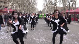 La Bande a Béziers  Carnaval Occitan de Béziers 2013 [upl. by Buine]