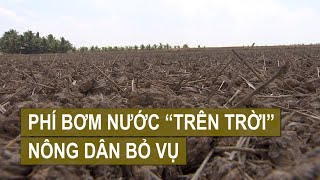 ĐỒNG THÁP NÔNG DÂN KHÔNG SẠ LÚA PHẢN ĐỐI PHÍ BƠM NƯỚC  VTV CẦN THƠ [upl. by Ripley]