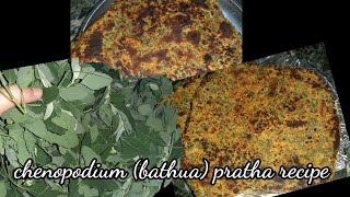 Bathua Paratha Recipe  बथुआ के पराठे  how to make bathua paratha  Chenopodium Recipe [upl. by Barde978]