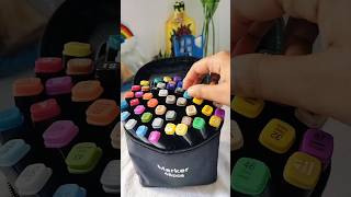 Unboxing alcohol markers 🌈 shorts diy fyp [upl. by Harriot]