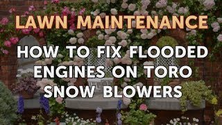 How to Fix Flooded Engines on Toro Snow Blowers [upl. by Short]