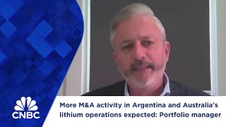 More MampA activity in Argentina and Australia’s lithium operations expected Portfolio manager [upl. by Stoops]