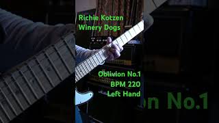 The Winery Dogs  Oblivion No1 220 Left Richie Kotzen guitar ギター telecaster emg テレキャス helix [upl. by Hcirdeirf484]