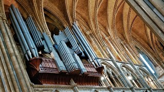 Organ Recital Jan Liebermann [upl. by Klinger]