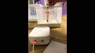 KITTENS LOVE This Nebulizer Trick 😻 PART 1 [upl. by Ahselet65]