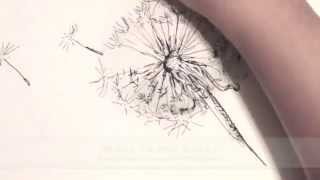 How to Draw a Dandelion Live Drawing in Ink [upl. by Curren444]