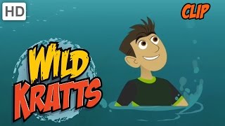 Wild Kratts  Olympic Diving [upl. by Alveta]