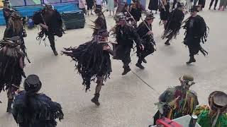 Beltane Border Morris  Lyme Regis 2024  Grey Wethers [upl. by Mcdougall]