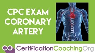 CPC Exam Coronary Arteries Questions and Answers [upl. by Burgener335]