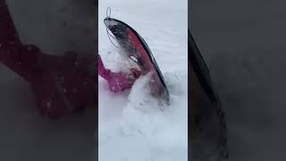 When toddlers snow sled Credit aleetajo tiktok [upl. by Dannica]