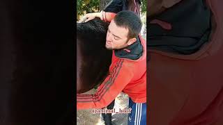 ASMR Horse Cleaning animalhoof farrierhoofcare thehooflife Limestonehorsehoofs horsehoofcare [upl. by Artair]