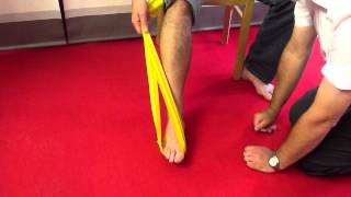 Tibialis Posterior Dysfunction  rehab exercises with latex band [upl. by Miah]