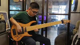 BASS DEMO MTD Kingston Z6  Bartolini SINGULARITY pickups [upl. by Harutek]